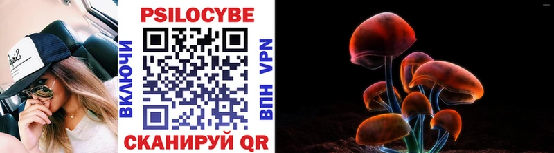 Галлюциногенные грибы Psilocybine cubensis  Купить закладки  Джанкой 